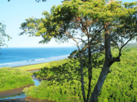 Lagarta Lodge - Costa Rica