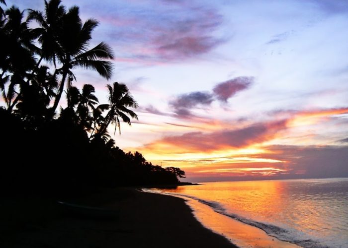 Sunset from an island with palm trees.