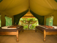 Masoala Forest Lodge